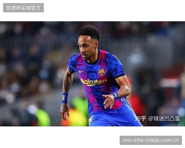 本次大名单中已无来自欧洲五大联赛的球员，伊朗队将更加依赖整体战术与团队协作。